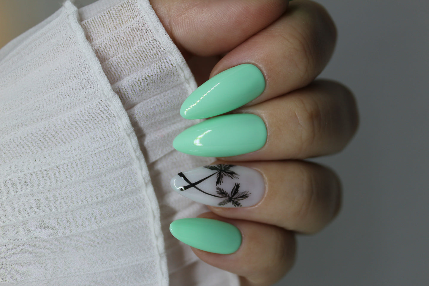 Palm trees